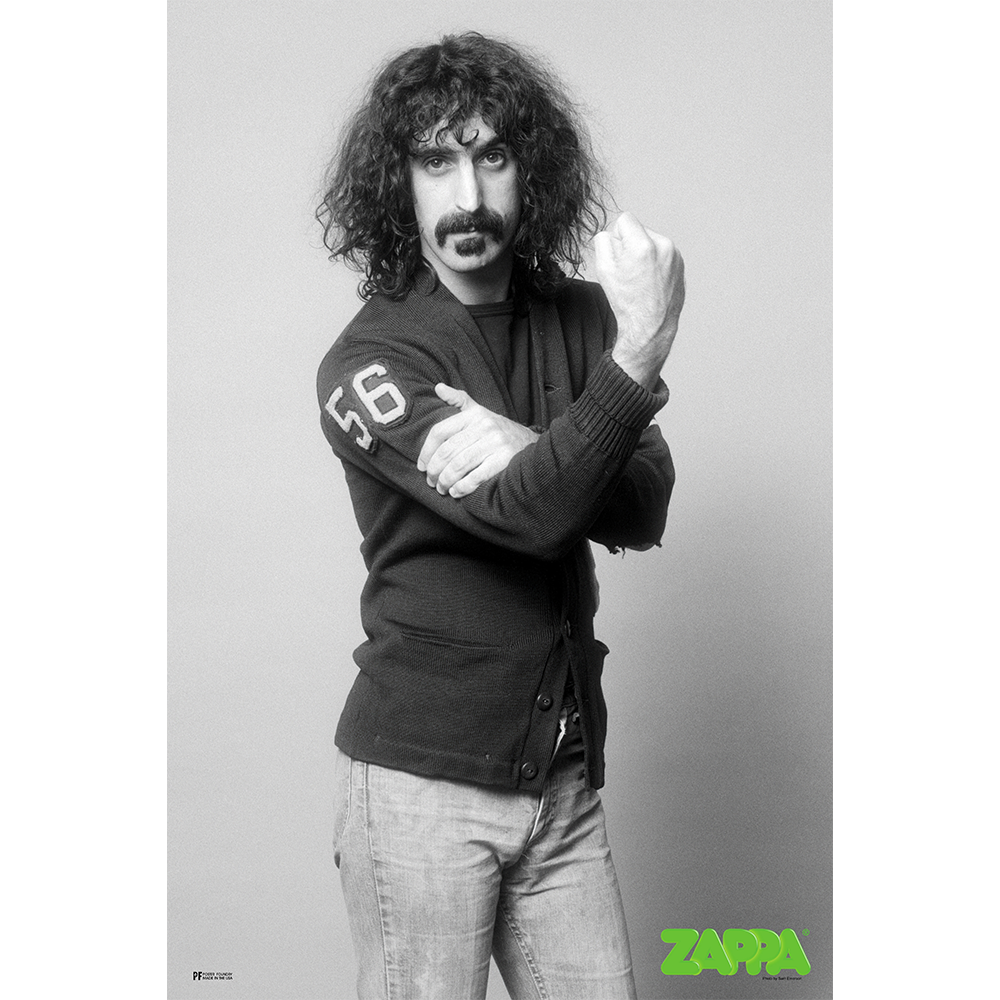 Zappa Fist Poster
